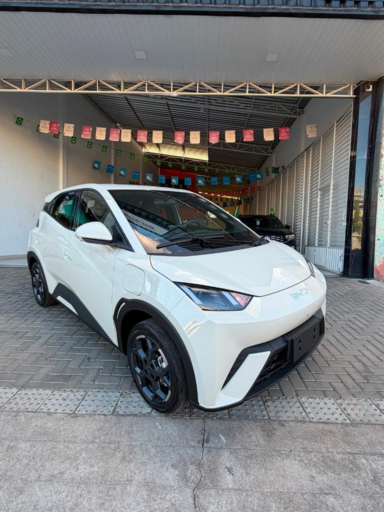 Byd Dolphin Mini Bev 38kwh Gs 5l Auto